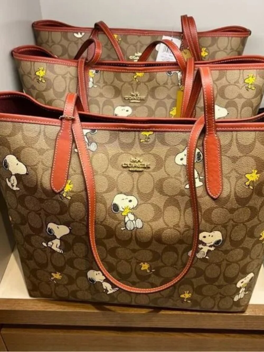 COACH x Peanuts Collaboration Snoopy Tote bag CF166